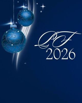 Děkujeme, že jsme součástí vaší cesty. 🎄 Přejeme krásné Vánoce a úspěšný rok 2026. #crinklepak #papirovavypln